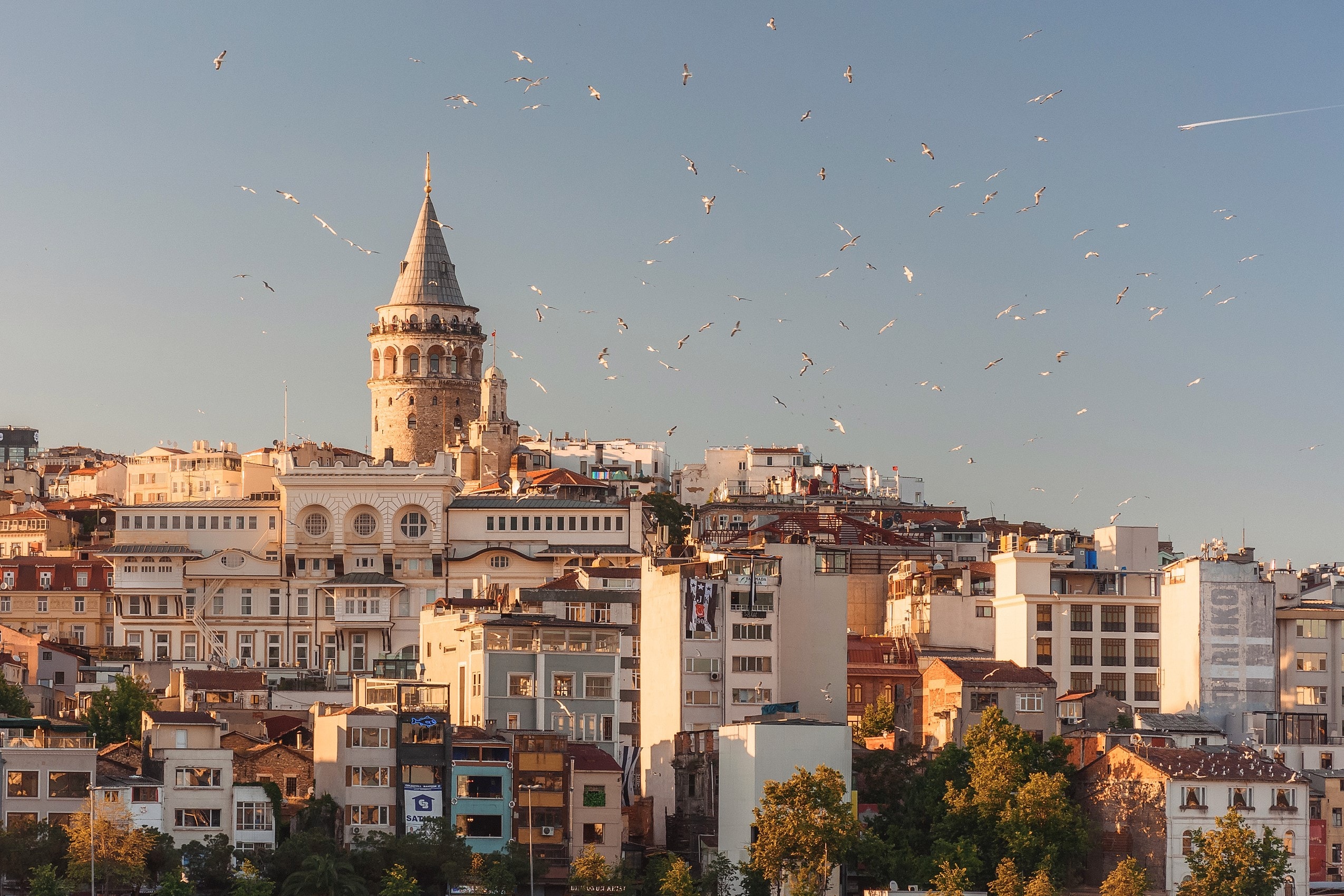 anna-berdnik-0n0AHB1fgTQ-unsplash anna-berdnik-0n0AHB1fgTQ-unsplash